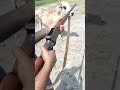Single barrel shotgun review