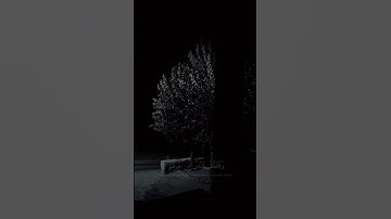 قران كريم{ أَوَلَمْ يَرَوْا أَنَّا جَعَلْنَا حَرَمًا آمِنًا} سورة العنكبوت آية ٦٧