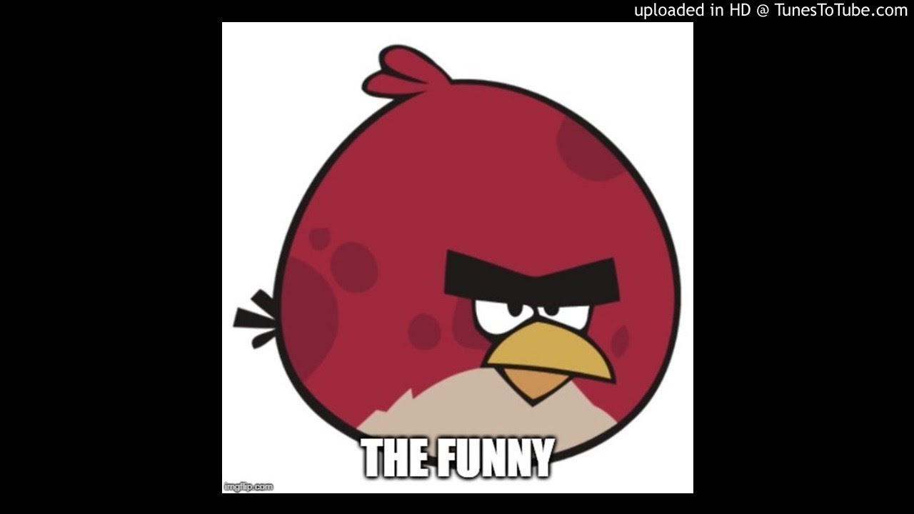 the funny - irony satire HAHAH sdfdja; ga