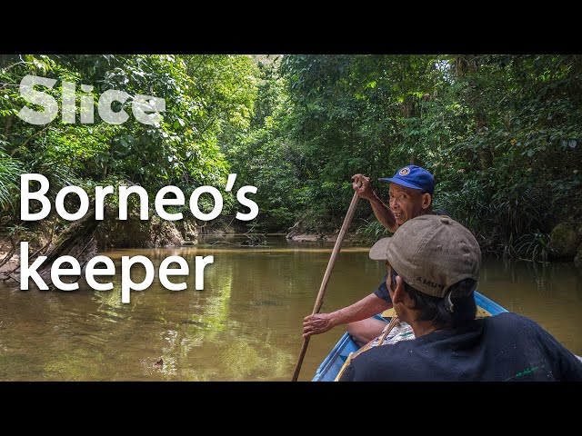Deep in Borneo's jungle with Tewet | SLICE class=