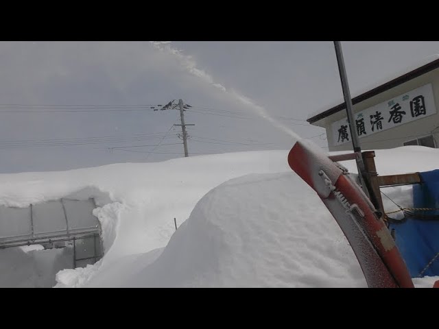 Hirose Seikoen Garden in heavy snow - YouTube