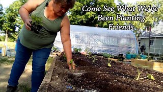 Come See What We&#39;ve Been Planting Friends