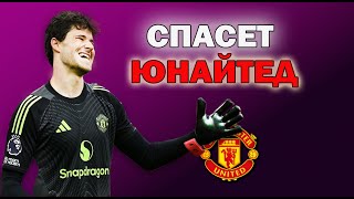 картинка: Все что нужно знать о новом вратаре МЮ || Senne Lammens