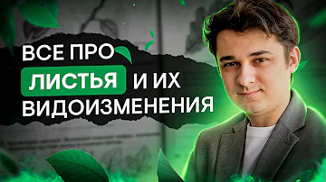 Все про листья и их видоизменения | Биология с Мишей Гис | ЕГЭ 2024 | SMITUP