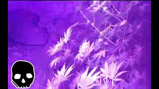 Reckless_ FPV 420 Stream 2000mg thc
