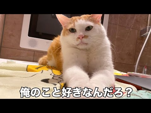 【🔴】実はもう実家から帰ってきているんです生放送SP