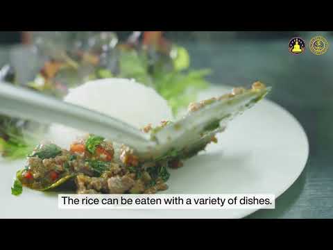ข้าวหอมมะลิพะเยา GI