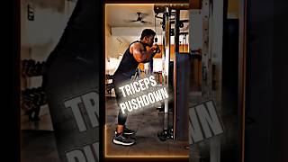 gym motivation 💪🏻🤬 #motivation #motivation #shorts #ytstudio #shortvideo #tricepspushdown