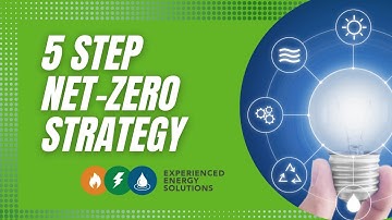 5 Step Net Zero Strategy for Businesses