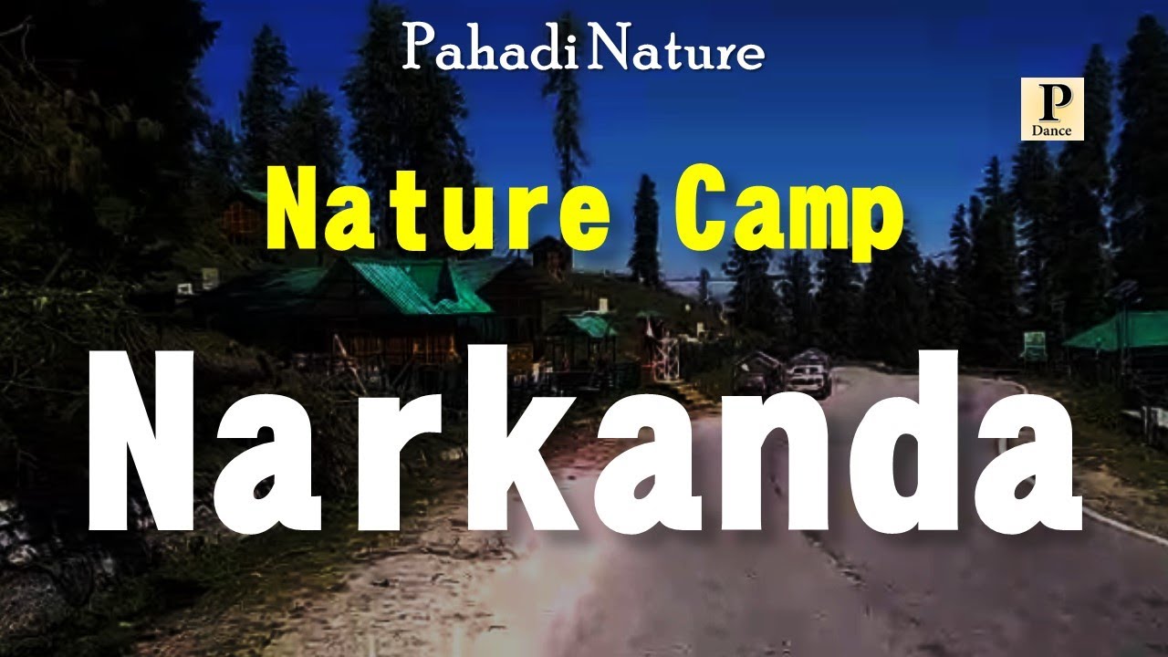 Nature Camp at Narkanda capture by Sanjay Kumar | Pahadi Nature ...