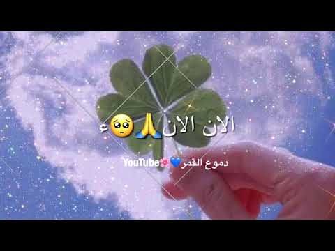 م  ن اجمل الانشيد الاسلاميه مااجمل ان تحيا