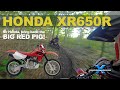 HONDA XR650R REVIEW: bring back the big red pig!