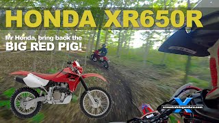 HONDA XR650R REVIEW: bring back the big red pig!