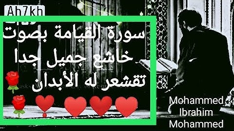 سورة القيامة بصوت ملائكى جميل جدا  ترق له القلوب 🌹⁦♥️⁩⁦❤️⁩⁦❣️⁩🌹