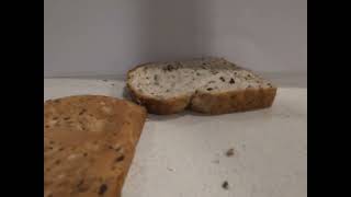 bread stack part 2