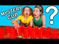 MEMORY MATCH Mystery Cups (GOOD OR BAD FOOD) Challenge By The Norris Nuts