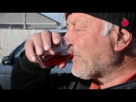 ,,გვაპატიებენ ჩვენი წინაპრები, რომ ვერ გავედით საფლავზე\" - დევნილები ფრონეს ხეობიდან