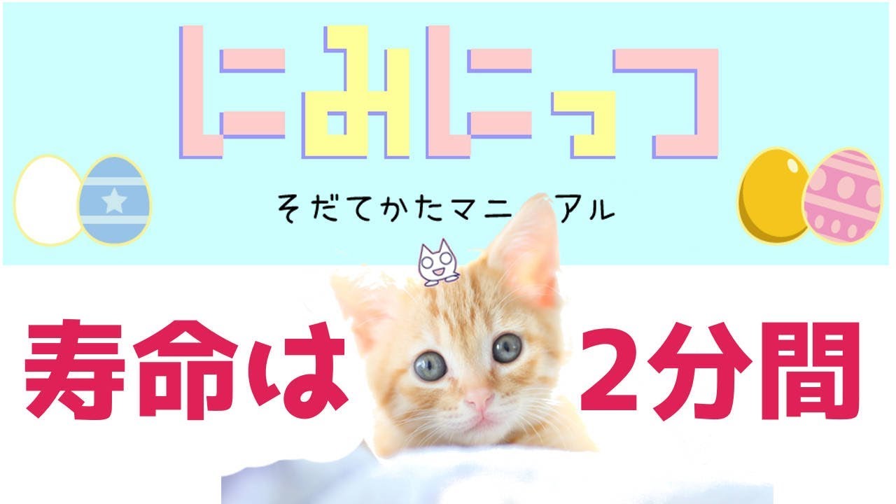 たった2分間だけのペット 死んじゃう前に愛情を にみにっつ Youtube