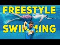 What is freestyle swimming  explained in detail 2022