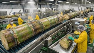 Inside HARIBO's Gummy Bear Empire | Full Factory Tour