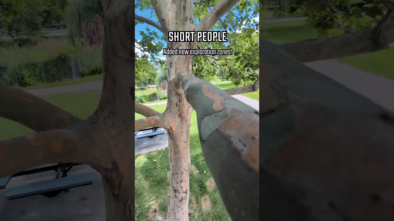 Tall People Vs Short Class Comparison Changes
