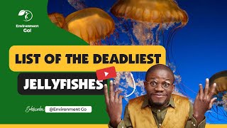 The Deadliest Jellyfishes in the World