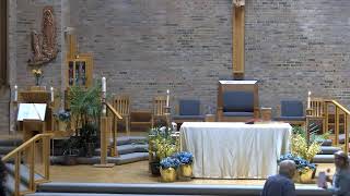 11 Am Mass on 05-10-2026