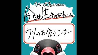 ウソのお便りコーナー【バーチャル文鳥おかもとの今日も生きのびたい 】#15