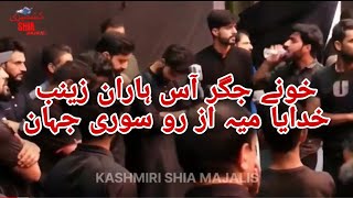 KHOONE JIGER AAS HARAAN ZAINAB //                                KASHMIRI PAINFULL NOHA 😭