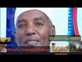 HIBBOO Ibraahim Haji Alitiin