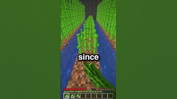 How to Get Started on FreshSMP Survival