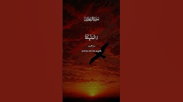 قرآن كريم سورة آل عمران 🤍
