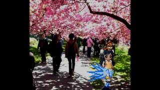 e & d v-day special part 2 extended.wmv
