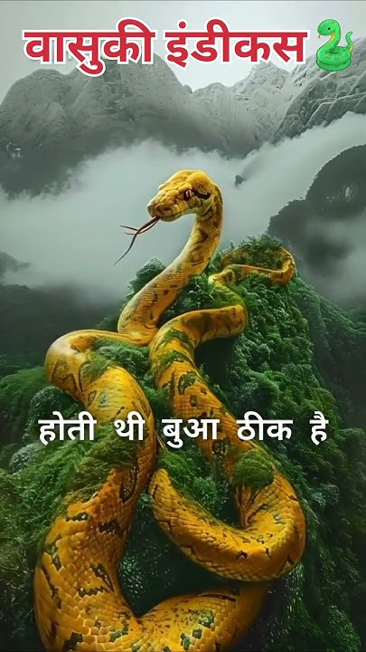 ll वासुकी इंडीकस_The_King_snakes👑 ll #viral #motivation #vasuki # ...