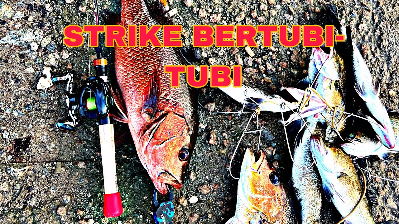 KOLAM AIR MASIN TELUK KERANG (KOLAM TOP ONE)