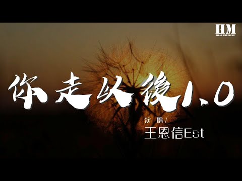 王恩信Est - 你走以後1.0『如果季節更替 樹葉落地銀色滿際』【動態歌詞Lyrics】