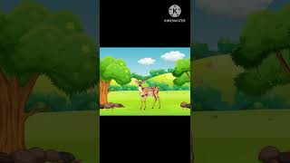 kids learning Deer Animal information short iss tarah ke information ke liye subscribe kare please