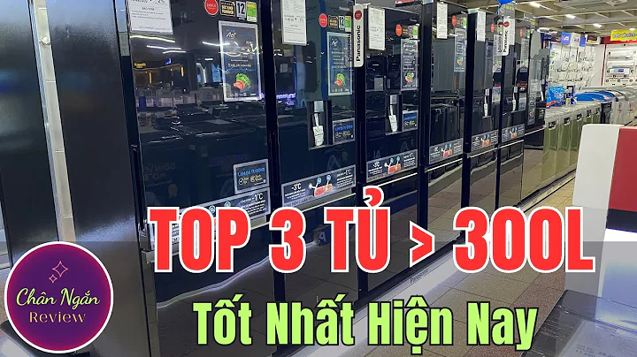 Top 3 Tủ lạnh trên 300 lít tốt nhất hiện nay | Chân Ngắn RV