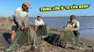 QUÁ KHỦNG KHIẾP • Thăm Lú (12 Cửa Ngục) Cá Vào Muốn Bể Lú | Fishing