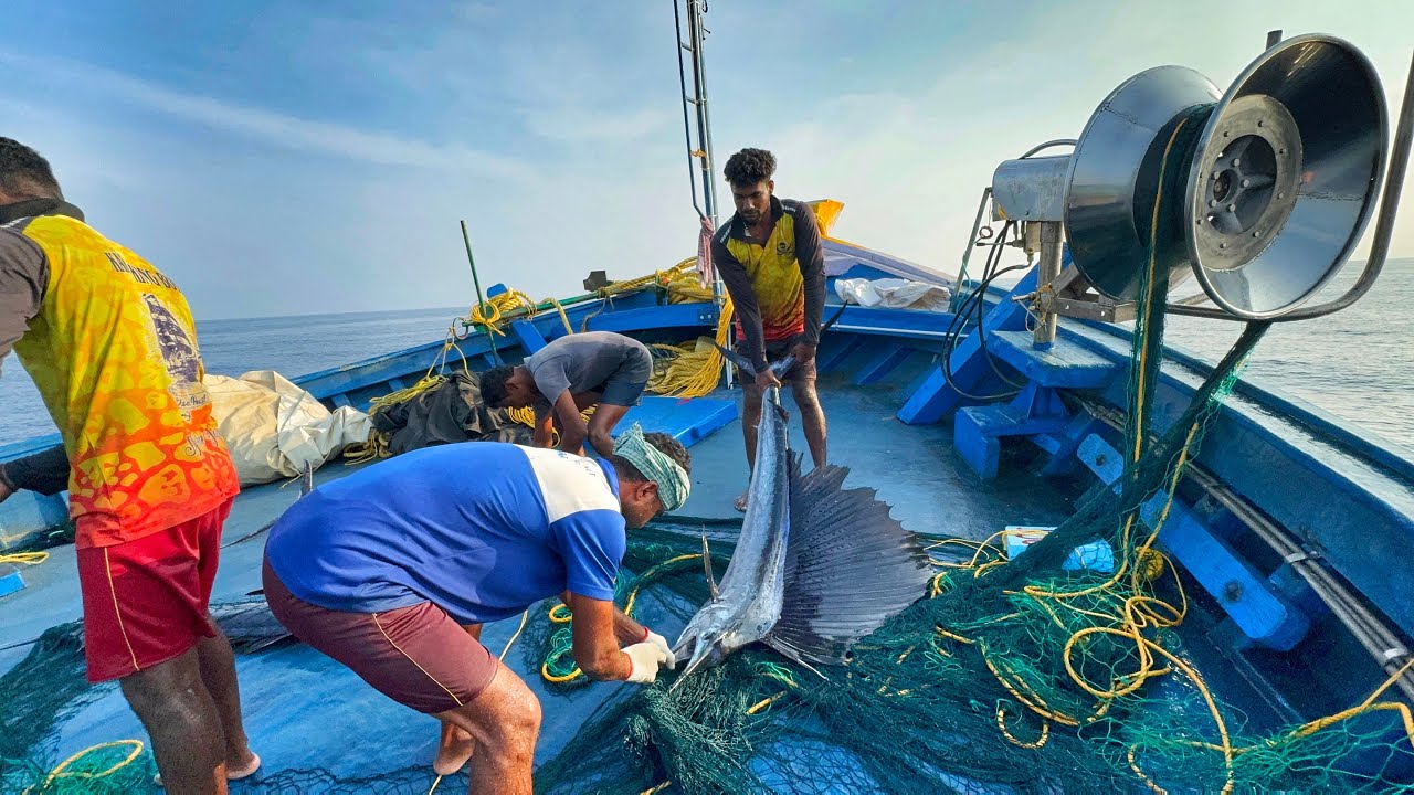 Amazing! First Day At Sea On The New Boat We Caught A Lot Of Fish | Deep Sea Fishing | Episode-02