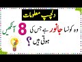 Paheliyan in urdu  general knowledge questions and answer   facts about animal eyes  2  sky ways