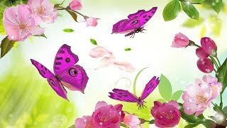 1019 - ВЛОГ/Очень Вкусный!!!/ Салат/Запеканка/от 20 мая 2019г 1019 - ВЛОГ/Очень Вкусный!!!/ Салат/Запеканка/от 20 мая 2019г