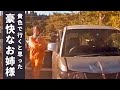 【ドラレコ】普通さぁ、黄色で行くと思うでしょ？ ドライブレコーダーが捉えた危険運転・運転下手・事故の瞬間 衝撃映像 N103