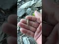 I don’t know what is this?