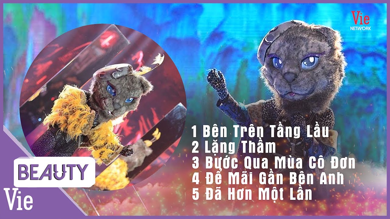 Playlist nhạc chill tâm trạng HAY NHẤT của Báo Mắt Biếc THE MASKED SINGER