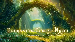 Enchanting Forest Space & Magical Forest Music  Calm Your Mind, Relax Your Spirit & Sleep Better