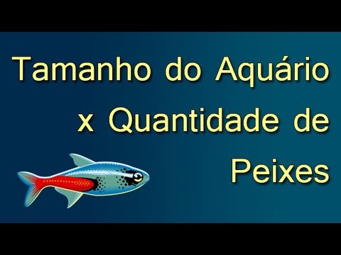 Vídeo: Como Planejar Um Aquário De Uma única Espécie