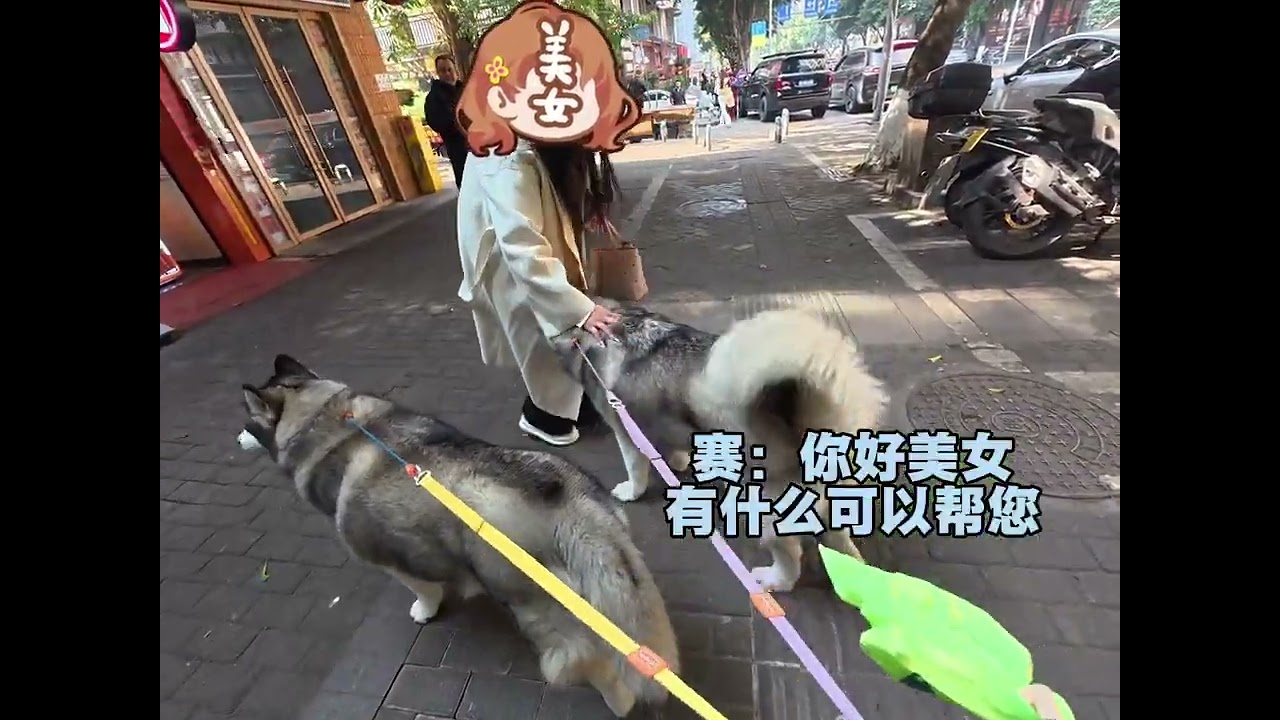 Hello It s my pleasure to serve you. Fat Hello. I m very sorry to serve you#Real Life Shar