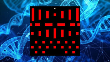 Algoritmos Evolutivos 2019 - SmartRockets