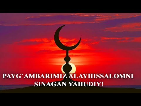 Video: Yahudiy Usuli Bilan Qaymoq Bilan Lavlagi Qanday Tayyorlanadi